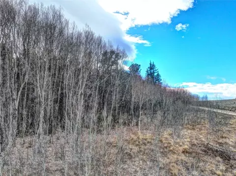 646 Antelope Way, Como, CO 80432 photo 7