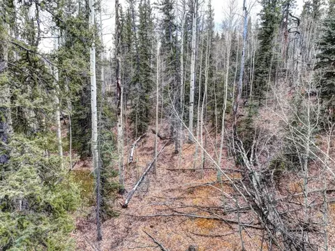 646 Antelope Way, Como, CO 80432 photo 9