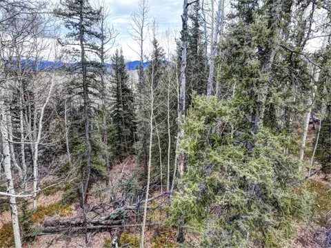646 Antelope Way, Como, CO 80432 photo 8