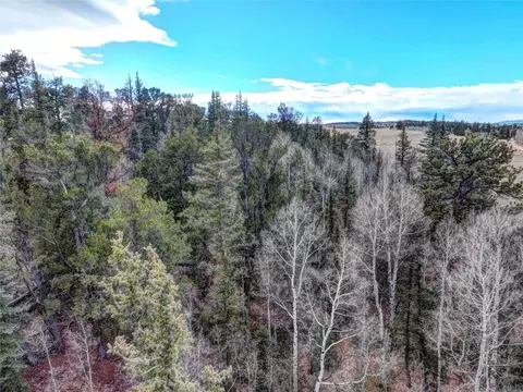 646 Antelope Way, Como, CO 80432 photo 3