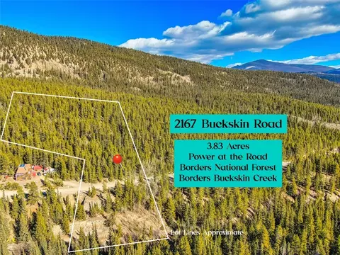 2167 Buckskin Rd, Alma, CO 80440