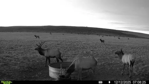 tbd Cr 19, Maybell, CO 81640
