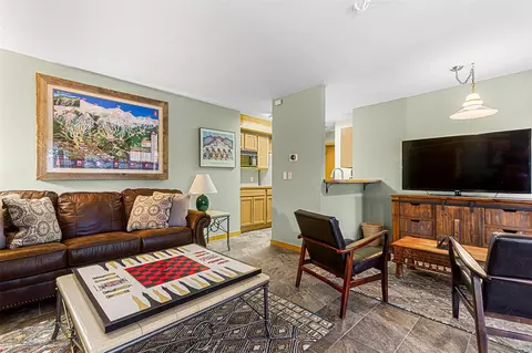Living - 181 Tomahawk Ln, Breckenridge, CO 80424 photo 8 of 8