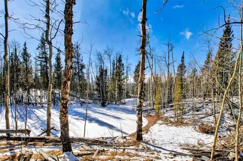 96 Dead Toad Rd, Alma, CO 80420 photo 25