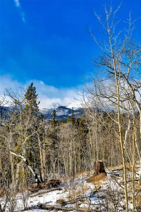 96 Dead Toad Rd, Alma, CO 80420 photo 38
