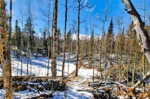 96 Dead Toad Rd, Alma, CO 80420 photo 24