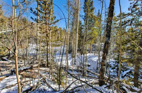 96 Dead Toad Rd, Alma, CO 80420 photo 33