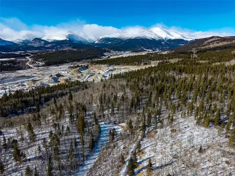 96 Dead Toad Rd, Alma, CO 80420 photo 3