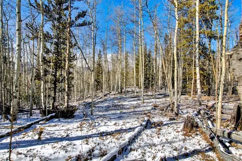 96 Dead Toad Rd, Alma, CO 80420 photo 30