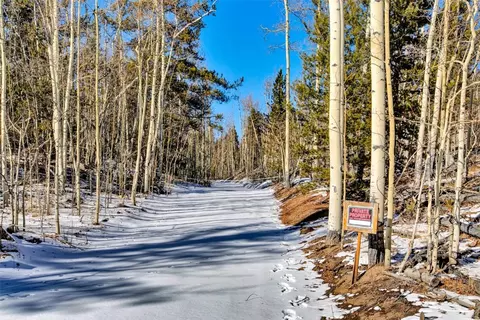 96 Dead Toad Rd, Alma, CO 80420 photo 7