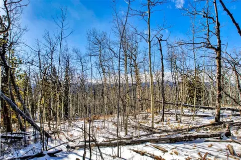 96 Dead Toad Rd, Alma, CO 80420 photo 14