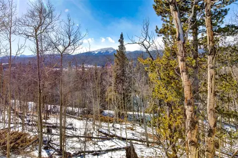 96 Dead Toad Rd, Alma, CO 80420 photo 20