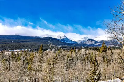 96 Dead Toad Rd, Alma, CO 80420 photo 10