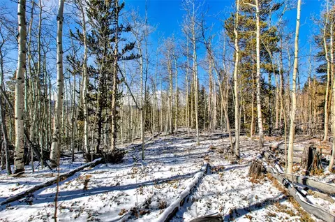96 Dead Toad Rd, Alma, CO 80420 photo 29