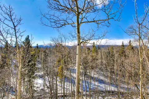 96 Dead Toad Rd, Alma, CO 80420 photo 4