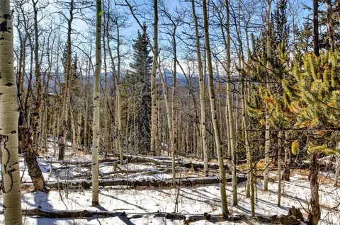 96 Dead Toad Rd, Alma, CO 80420 photo 32
