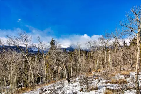 96 Dead Toad Rd, Alma, CO 80420 photo 36