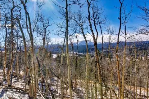 96 Dead Toad Rd, Alma, CO 80420 photo 40