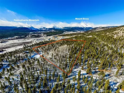 96 Dead Toad Rd, Alma, CO 80420 photo 2