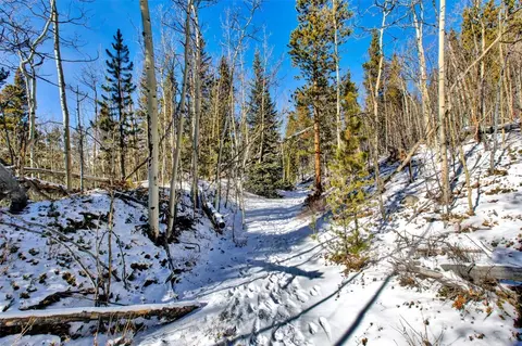 96 Dead Toad Rd, Alma, CO 80420 photo 35
