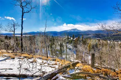 96 Dead Toad Rd, Alma, CO 80420 photo 41