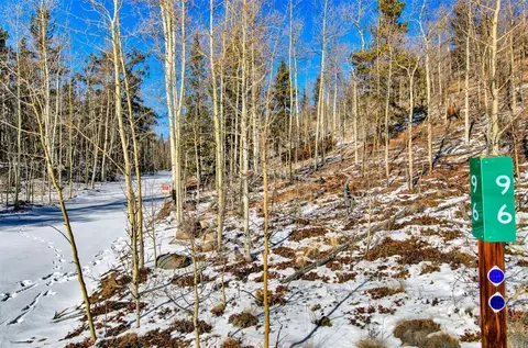 96 Dead Toad Rd, Alma, CO 80420 photo 16