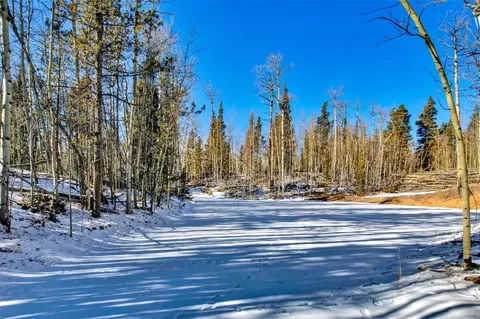 96 Dead Toad Rd, Alma, CO 80420 photo 8