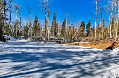 96 Dead Toad Rd, Alma, CO 80420 photo 22