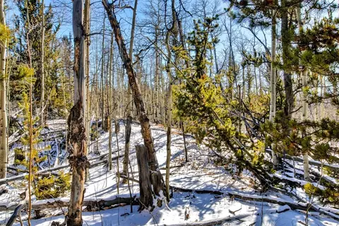 96 Dead Toad Rd, Alma, CO 80420 photo 31