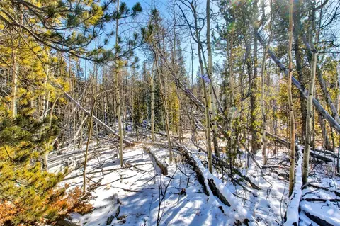 96 Dead Toad Rd, Alma, CO 80420 photo 15