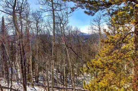 96 Dead Toad Rd, Alma, CO 80420 photo 28