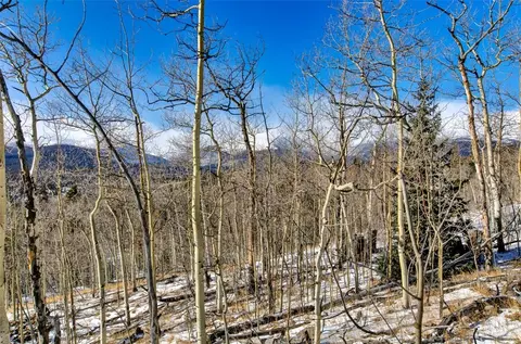 96 Dead Toad Rd, Alma, CO 80420 photo 39