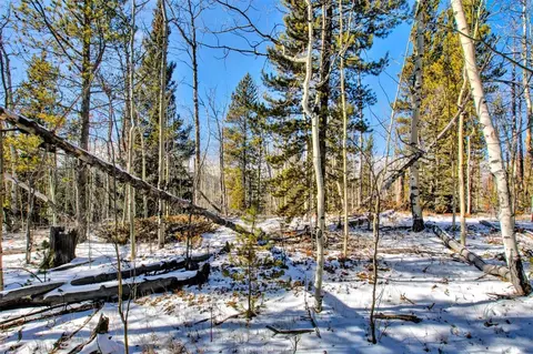 96 Dead Toad Rd, Alma, CO 80420 photo 26