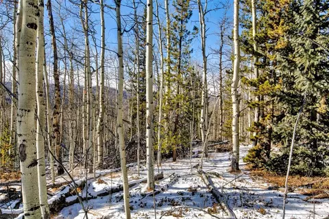 96 Dead Toad Rd, Alma, CO 80420 photo 23