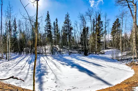 96 Dead Toad Rd, Alma, CO 80420 photo 18