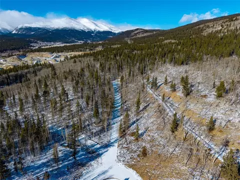 96 Dead Toad Rd, Alma, CO 80420 photo 13