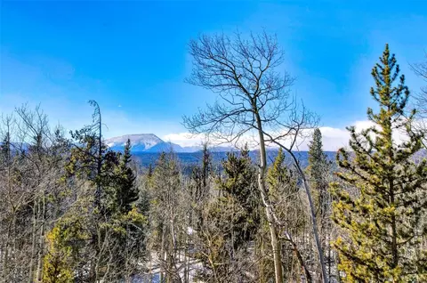 96 Dead Toad Rd, Alma, CO 80420 photo 5