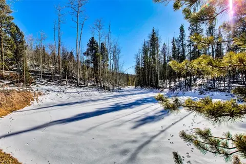 96 Dead Toad Rd, Alma, CO 80420 photo 17