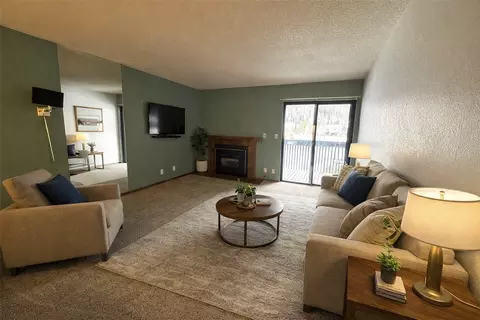 805 S 5th Ave #H222, Frisco, CO 80443