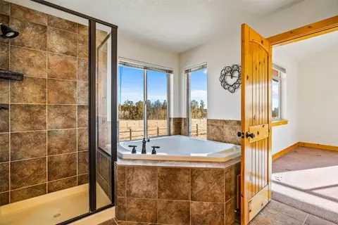 Bath - 162 Squirrel Tail Ct, Fairplay, CO 80440 photo 3 of 3