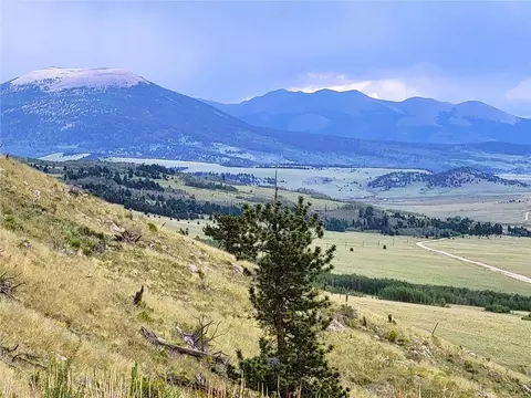 3481 Redhill Rd, Fairplay, CO 80440