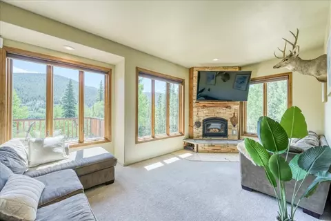 Living - 234 Peterson Dr, Alma, CO 80420 photo 1 of 5