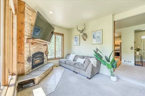 Living - 234 Peterson Dr, Alma, CO 80420 photo 3 of 5