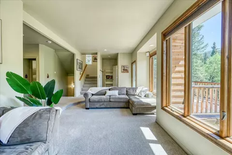 Living - 234 Peterson Dr, Alma, CO 80420 photo 5 of 5