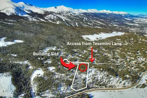 62 Tesemini Ln, Blue River, CO 80424