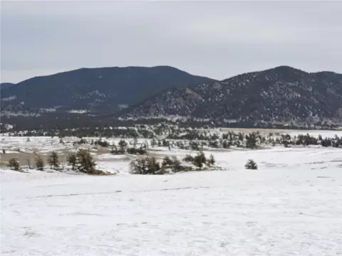 2418 Goldenburg Canyon Rd, Hartsel, CO 80449