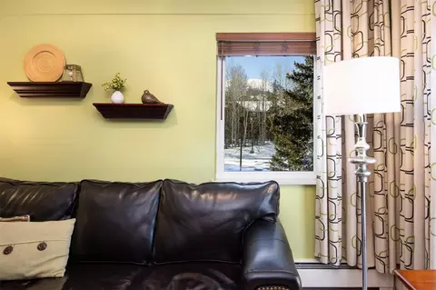 101 Ryan Gulch Ct #103, Silverthorne, CO 80498