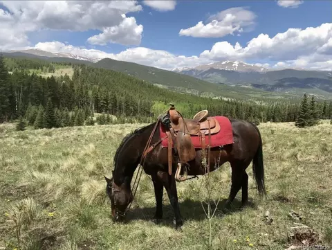 Other - 637 Rock Rd, Bailey, CO 80421 photo 13 of 16