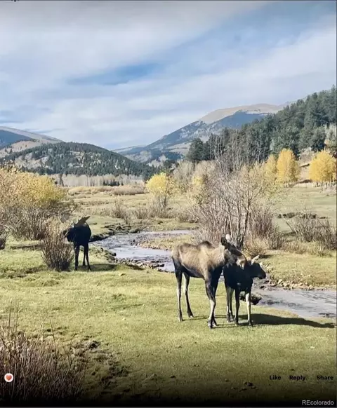 Other - 637 Rock Rd, Bailey, CO 80421 photo 14 of 16
