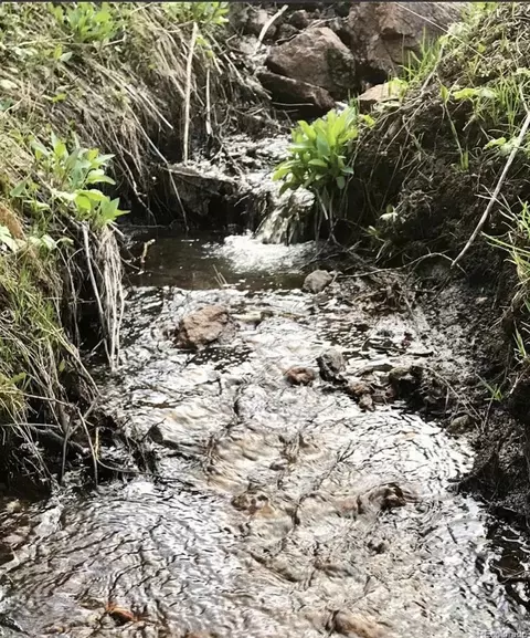 Other - 637 Rock Rd, Bailey, CO 80421 photo 4 of 16
